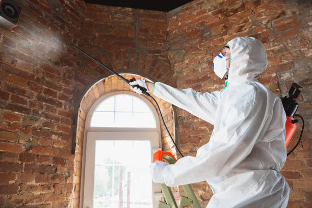 Best Mold Remediation for Rental Properties  in USA